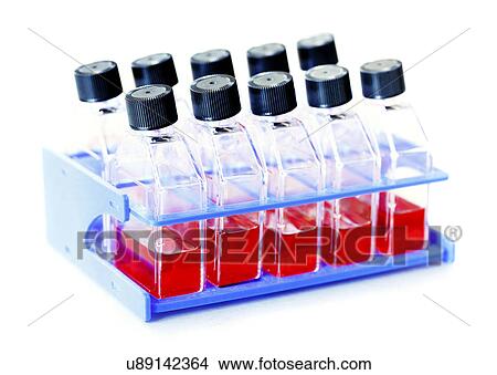 Blood samples in bottles in stand View Large Photo Image Picture - Blood samples in bottles in stand. Fotosearch