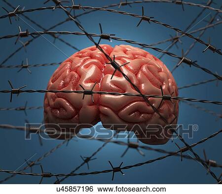 Brain and barbed wire, artwork View Large Illustration Stock Illustration - Brain and barbed wire, artwork. Fotosearch