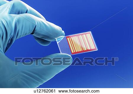 Stock Image - Chromatogram. Fotosearch