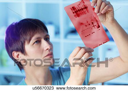 Stock Image - Chromatogram. Fotosearch