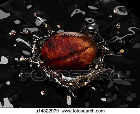 Coffee bean splashing into liquid View Large Illustration Stock Illustration - Coffee bean splashing into liquid. Fotosearch