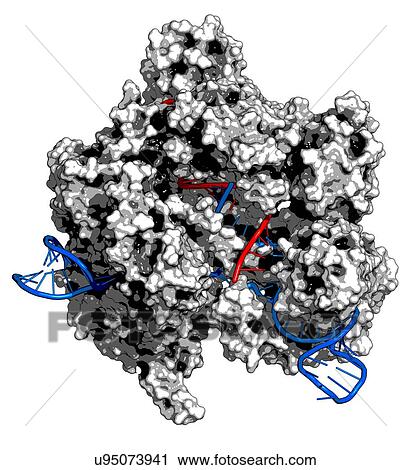 Clip Art - CRISPR-CAS9 gene editing complex. Fotosearch
