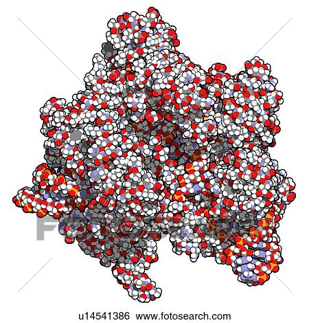 Stock Illustration - CRISPR-CAS9 gene editing complex. Fotosearch