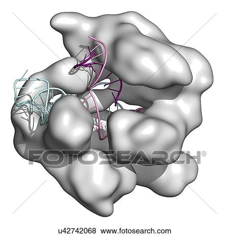 CRISPR-CAS9 gene editing complex View Large Illustration Stock Illustration - CRISPR-CAS9 gene editing complex. Fotosearch