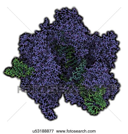 Stock Illustration - CRISPR-CAS9 gene editing complex. Fotosearch