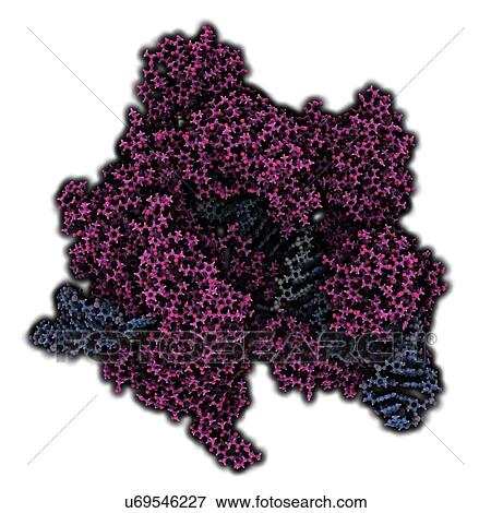 Stock Illustration - CRISPR-CAS9 gene editing complex. Fotosearch