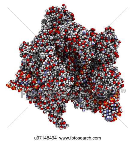 Stock Illustration - CRISPR-CAS9 gene editing complex. Fotosearch