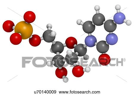 Cytidine monophosphate molecule View Large Illustration Stock Illustration - Cytidine monophosphate molecule. Fotosearch