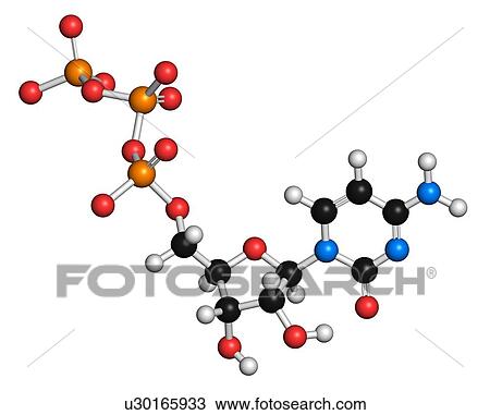 Drawing - Cytidine triphosphate molecule. Fotosearch