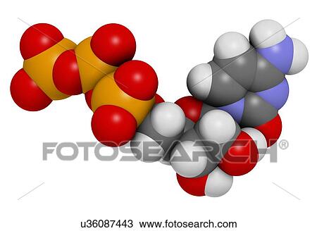Cytidine triphosphate molecule View Large Illustration Drawing - Cytidine triphosphate molecule. Fotosearch