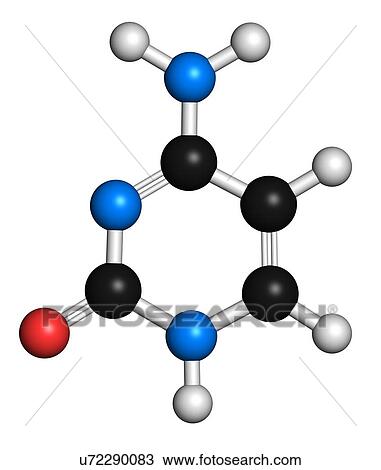 Cytosine pyrimidine nucleobase component View Large Illustration Drawing - Cytosine pyrimidine nucleobase component. Fotosearch