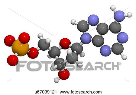 Clip Art - Deoxyadenosine monophosphate molecule. Fotosearch