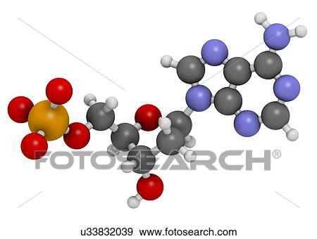 Stock Illustration - Deoxyadenosine monophosphate molecule. Fotosearch