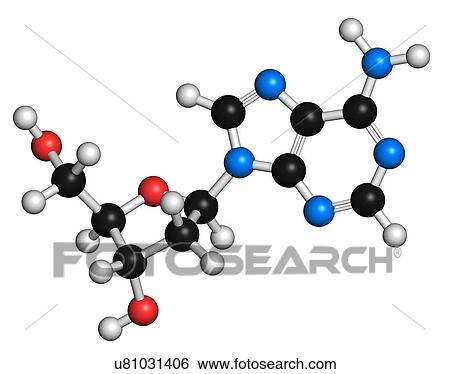 Stock Illustration - Deoxyadenosine nucleoside molecule. Fotosearch