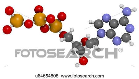 Stock Illustration - Deoxyadenosine triphosphate molecule. Fotosearch