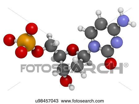 Drawing - Deoxycytidine monophosphate molecule. Fotosearch
