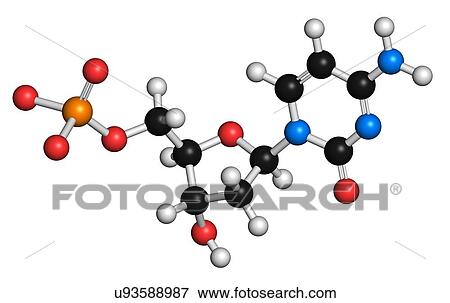 Deoxycytidine monophosphate molecule View Large Illustration Stock Illustration - Deoxycytidine monophosphate molecule. Fotosearch