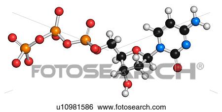Deoxycytidine triphosphate molecule View Large Illustration Stock Illustration - Deoxycytidine triphosphate molecule. Fotosearch