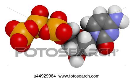 Stock Illustration - Deoxycytidine triphosphate molecule. Fotosearch