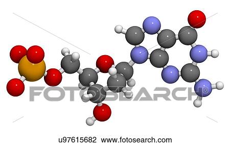 Drawing - Deoxyguanosine monophosphate molecule. Fotosearch