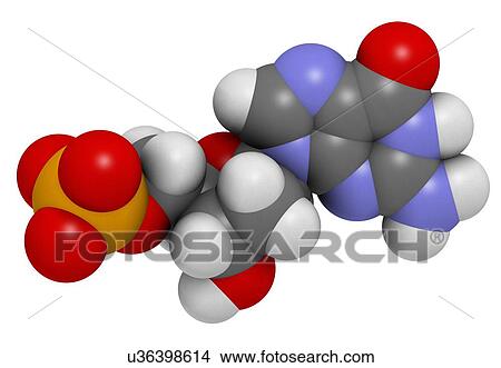 Stock Illustration - Deoxyguanosine monophosphate molecule. Fotosearch