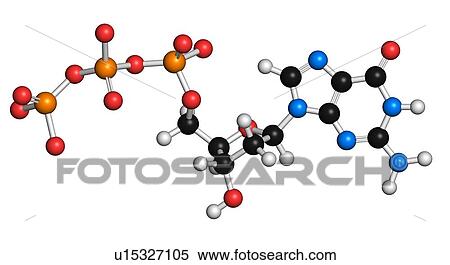 Stock Illustration - Deoxyguanosine triphosphate molecule. Fotosearch
