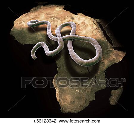 Drawing - Ebola epidemic, conceptual artwork. Fotosearch
