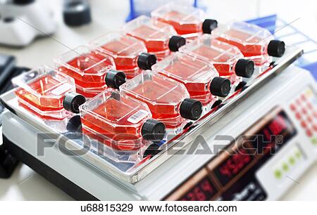 Electronic machine View Large Photo Image Stock Photo - Electronic machine. Fotosearch