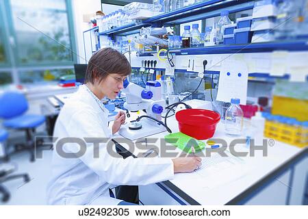Female technician working in a lab View Large Photo Image Stock Photography - Female technician working in a lab. Fotosearch