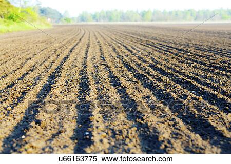 Stock Photography - Freshly ploughed field. Fotosearch