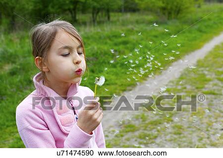 Girl blowing dandelion seeds View Large Photo Image Stock Image - Girl blowing dandelion seeds. Fotosearch