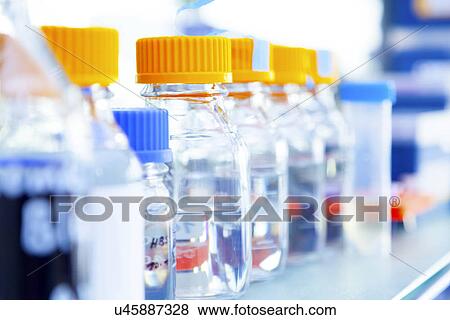 Glass bottles in a row View Large Photo Image Stock Photo - Glass bottles in a row. Fotosearch