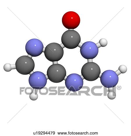 Stock Illustration - Guanine purine nucleobase molecule. Fotosearch