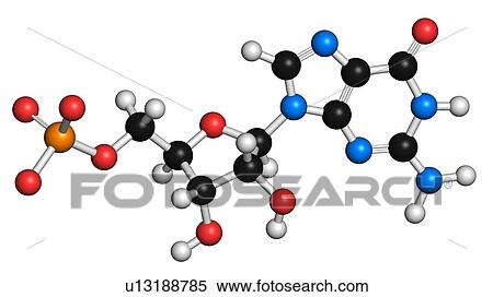 Guanosine monophosphate molecule View Large Illustration Stock Illustration - Guanosine monophosphate molecule. Fotosearch