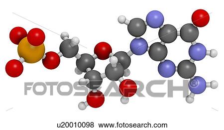 Guanosine monophosphate molecule View Large Illustration Stock Illustration - Guanosine monophosphate molecule. Fotosearch
