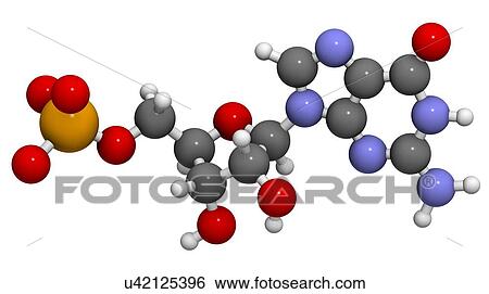 Stock Illustration - Guanosine monophosphate molecule. Fotosearch