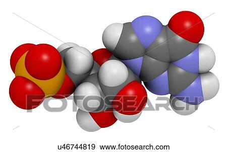 Stock Illustration - Guanosine monophosphate molecule. Fotosearch