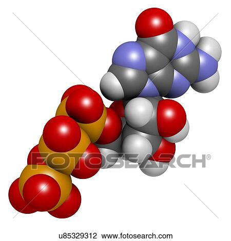 Drawing - Guanosine triphosphate molecule. Fotosearch