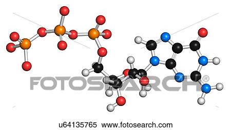 Stock Illustration - Guanosine triphosphate molecule. Fotosearch