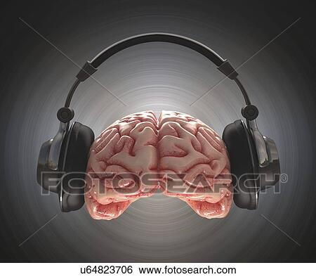 Human brain and headphone, artwork View Large Illustration Stock Illustration - Human brain and headphone, artwork. Fotosearch