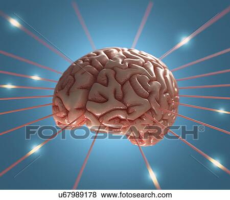 Human brain, artwork View Large Illustration Stock Illustration - Human brain, artwork. Fotosearch
