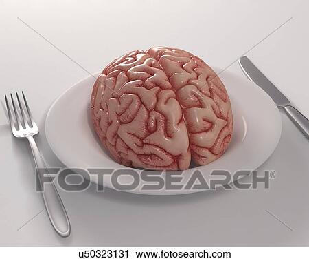 Human brain on dinner plate, artwork View Large Illustration Clip Art - Human brain on dinner plate, artwork. Fotosearch