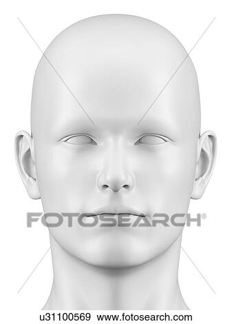 Human head, illustration View Large Illustration Stock Illustration - Human head, illustration. Fotosearch