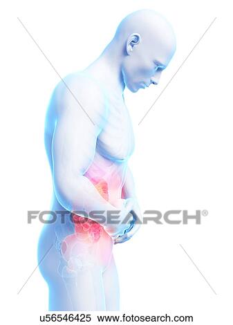 Human intestine pain, illustration View Large Illustration Stock Illustration - Human intestine pain, illustration. Fotosearch