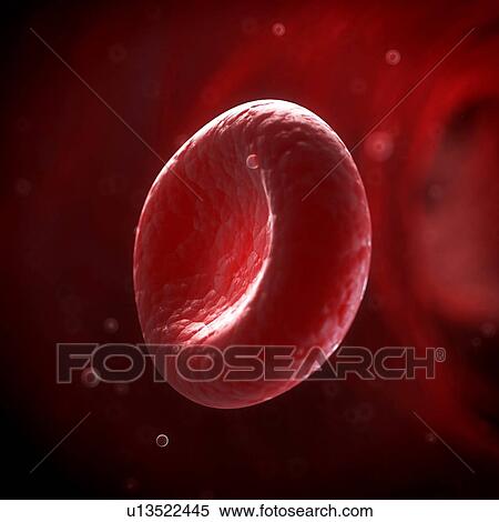 Human red blood cell, illustration View Large Illustration Stock Illustration - Human red blood cell, illustration. Fotosearch