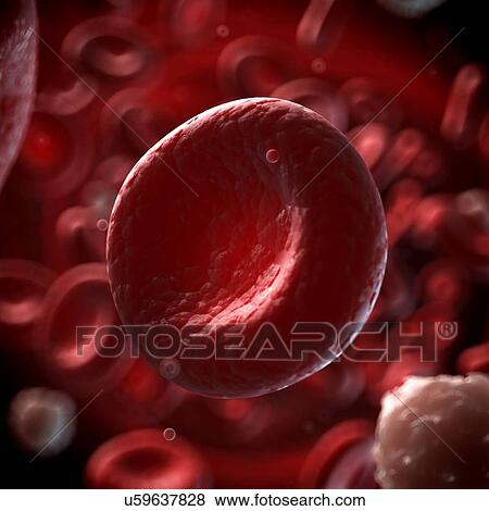 Human red blood cell, illustration View Large Illustration Stock Illustration - Human red blood cell, illustration. Fotosearch