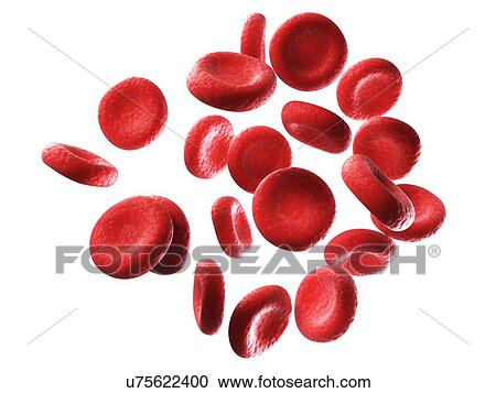 Clipart - Human red blood cells, illustration. Fotosearch
