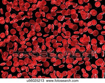 Human red blood cells, illustration View Large Illustration Drawing - Human red blood cells, illustration. Fotosearch