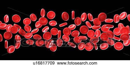 Human red blood cells, illustration View Large Illustration Stock Illustration - Human red blood cells, illustration. Fotosearch