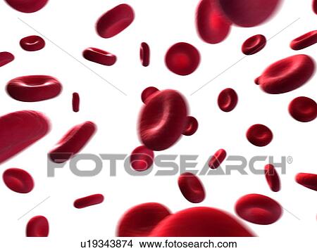 Human red blood cells, illustration View Large Illustration Stock Illustration - Human red blood cells, illustration. Fotosearch